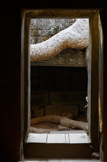 Ta Phrom et environs-128